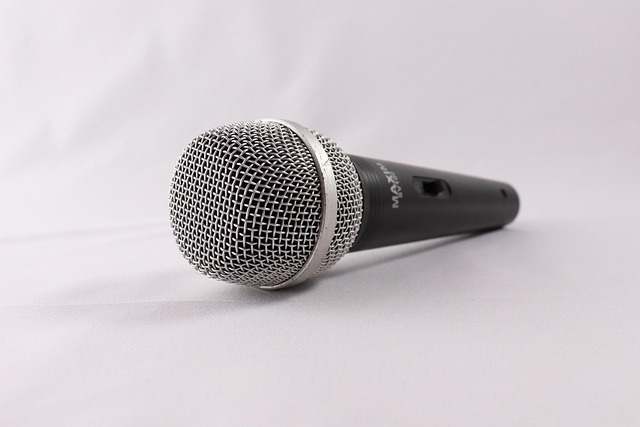 Microfono e voce: il voice phishing